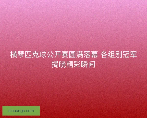 横琴匹克球公开赛圆满落幕 各组别冠军揭晓精彩瞬间