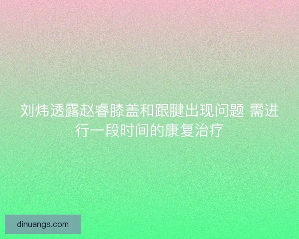 刘炜透露赵睿膝盖和跟腱出现问题 需进行一段时间的康复治疗