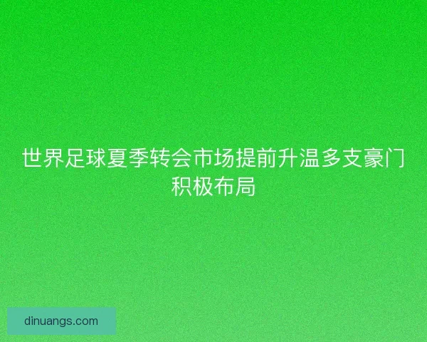 世界足球夏季转会市场提前升温多支豪门积极布局